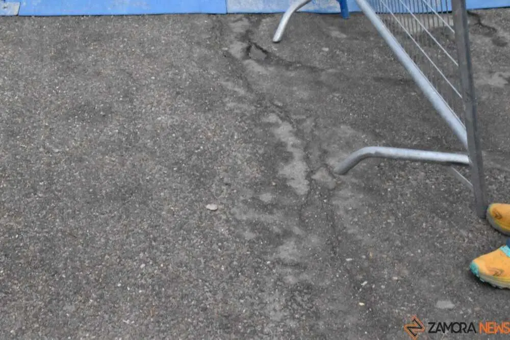 media marat&oacute;n y 10K Toro 2026_206