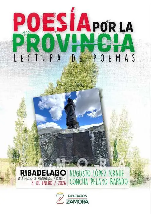 Poes&iacute;a de la Provincia