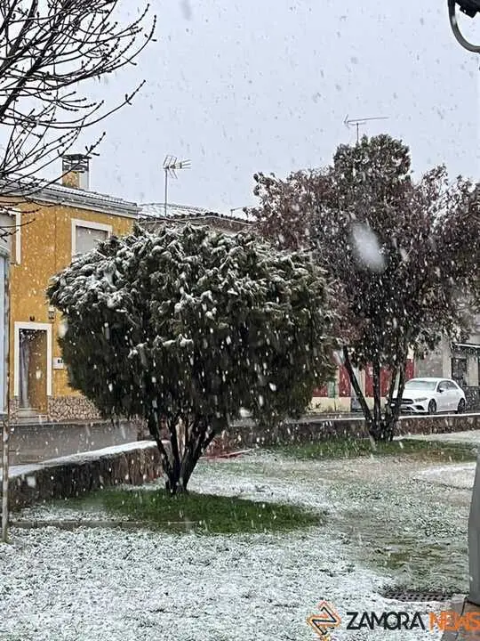 Nieve Coreses_15
