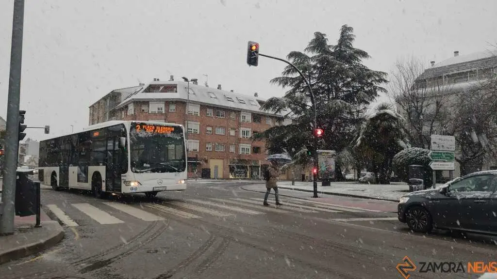 Nieve en Zamora_2