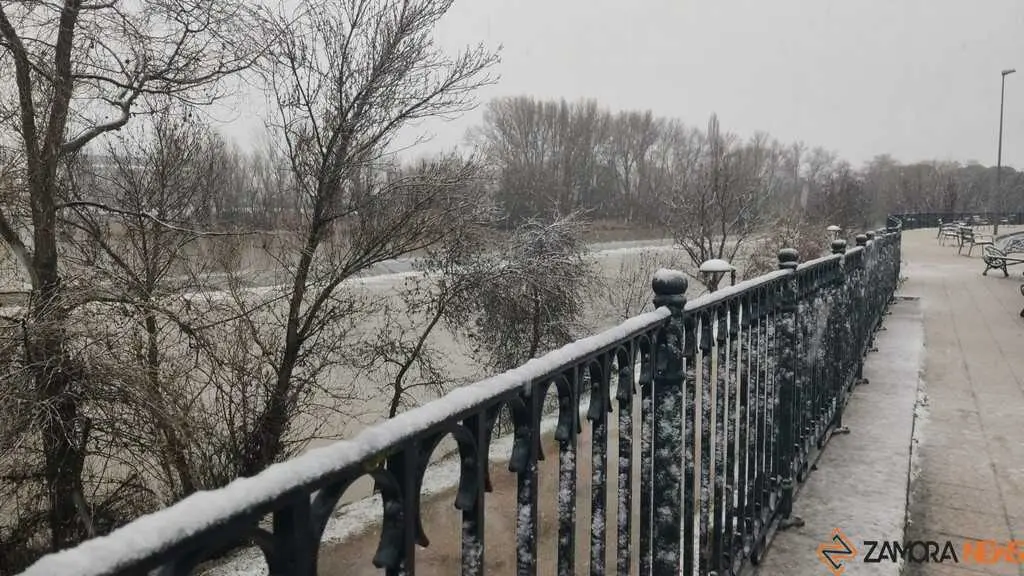 Nieve en Zamora_6