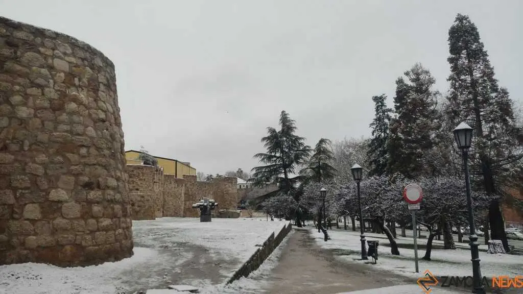 Nieve Zamora capital _2