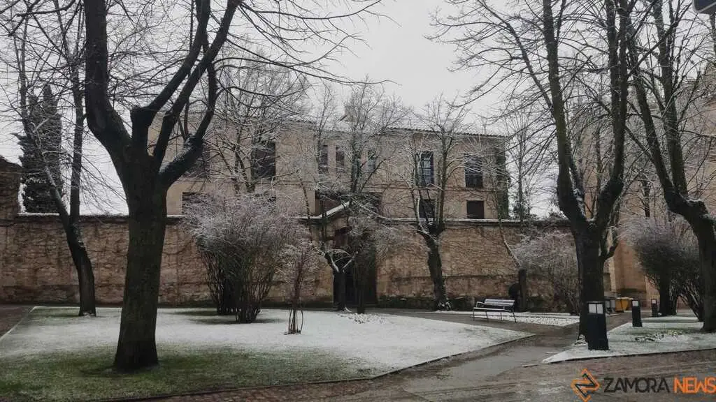 Nieve Zamora capital _3