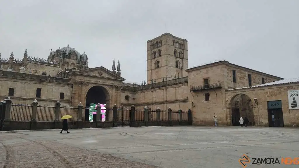 Nieve Zamora capital _4