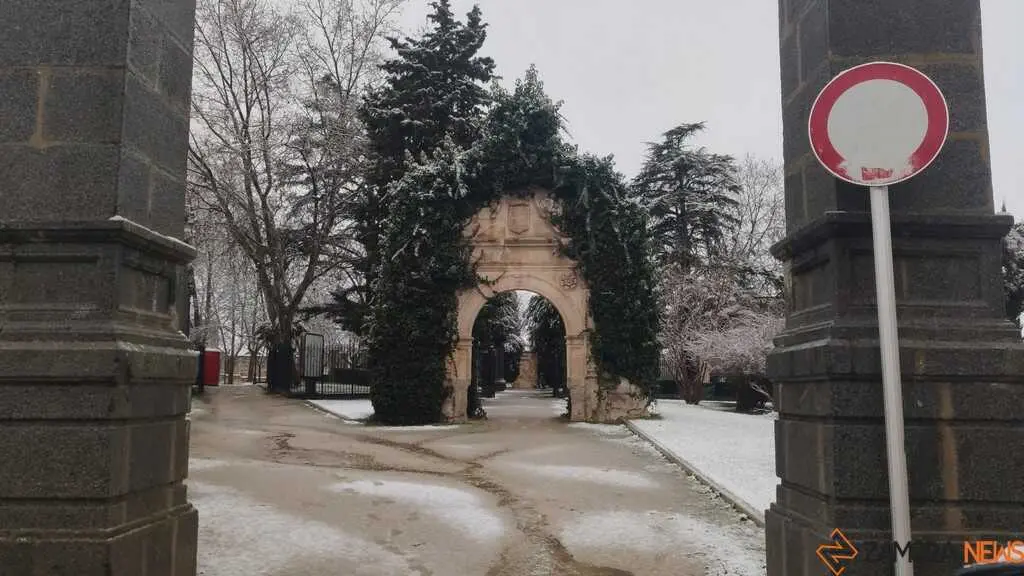 Nieve Zamora capital _5