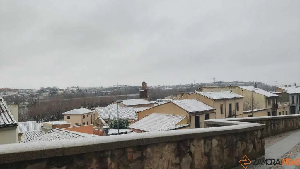 Nieve Zamora capital _7