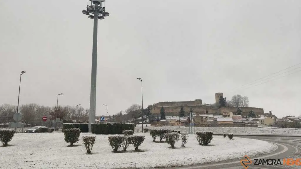 Nieve Zamora capital _8