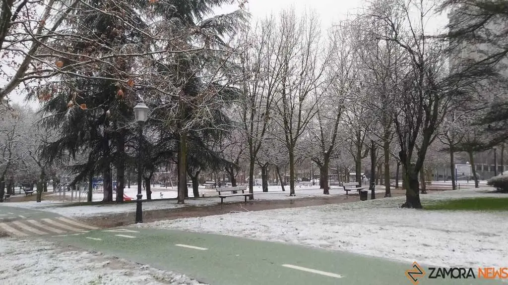 Zamora nevada _3