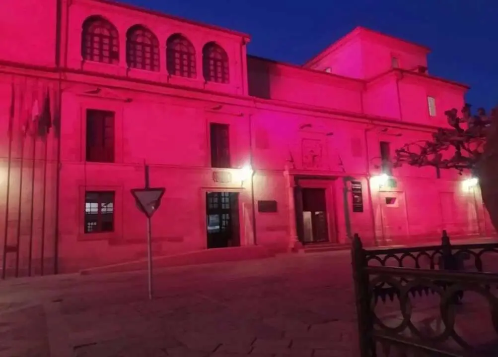 La Diputaci&oacute;n de Zamora ilumina su fachada de carmes&iacute; por el cumplea&ntilde;os del Rey Felipe VI