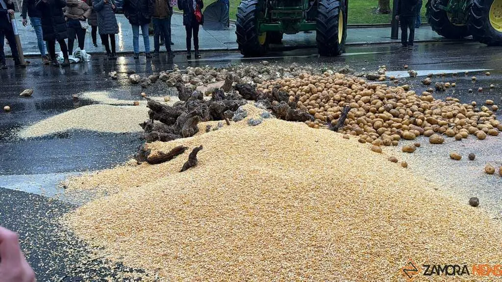 Los tractores toman Zamora_22