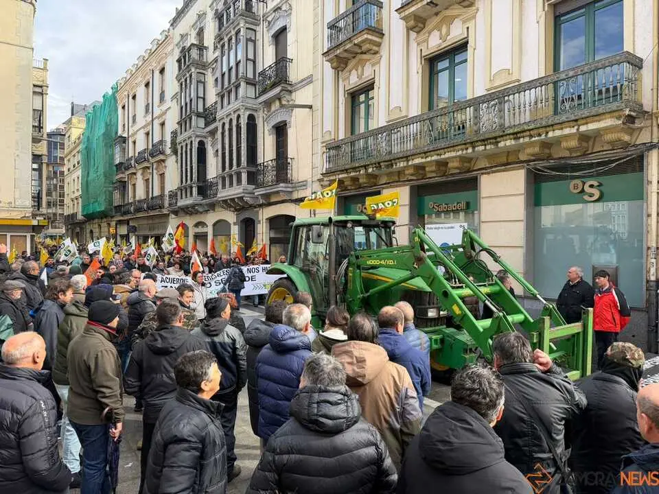 OPAs de Zamora manifestaci&oacute;n a pie