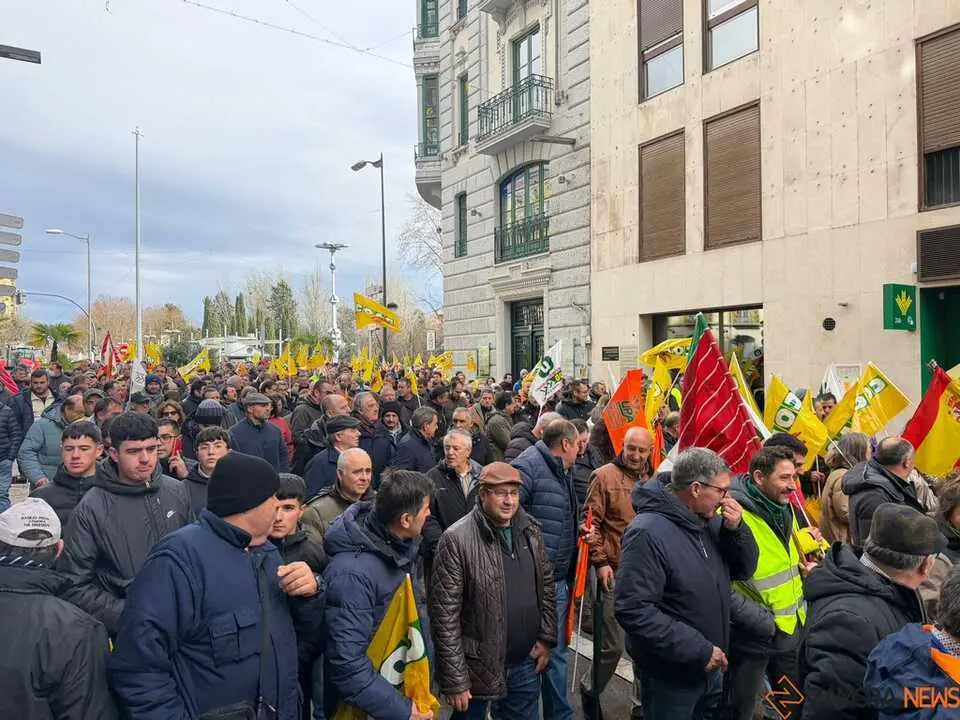 OPAs de Zamora manifestaci&oacute;n a pie_3