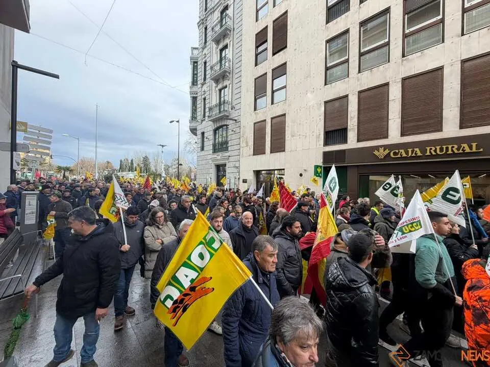 OPAs de Zamora manifestaci&oacute;n a pie_4