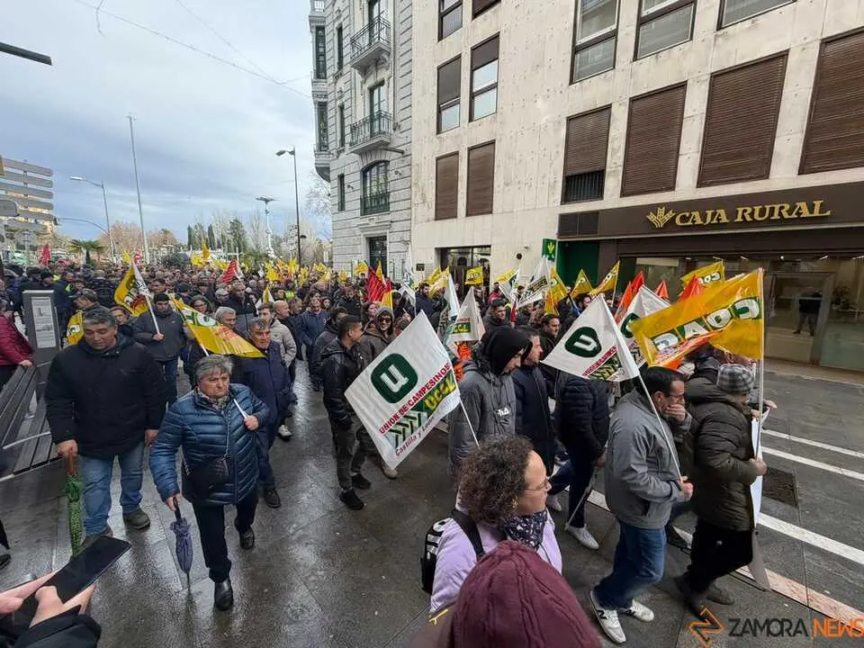 OPAs de Zamora manifestaci&oacute;n a pie_6
