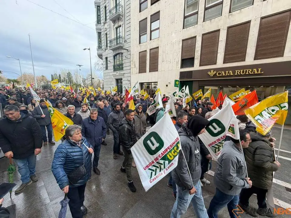 OPAs de Zamora manifestaci&oacute;n a pie_8