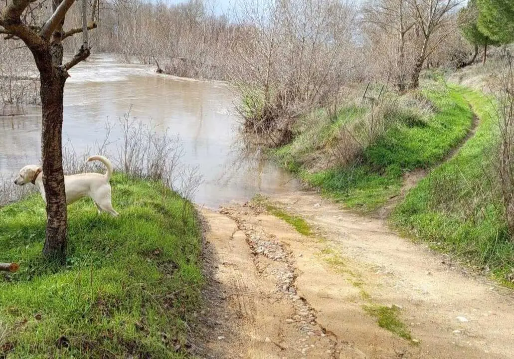 Sendero de las Fuentes Toro - imagen redes Ayt. de Toro