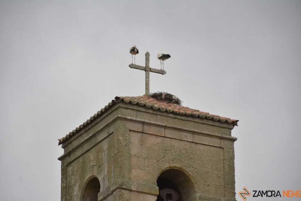 &aacute;guedas bermillo 2026_72