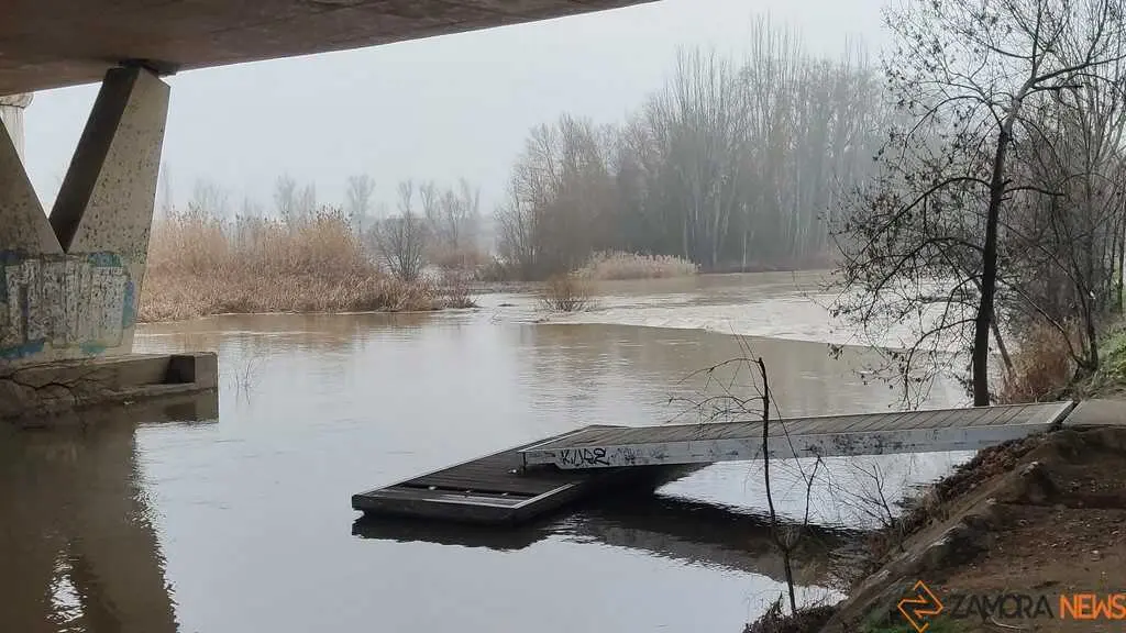  El Duero inunda ace&ntilde;as y paseos a su paso por Zamora_3