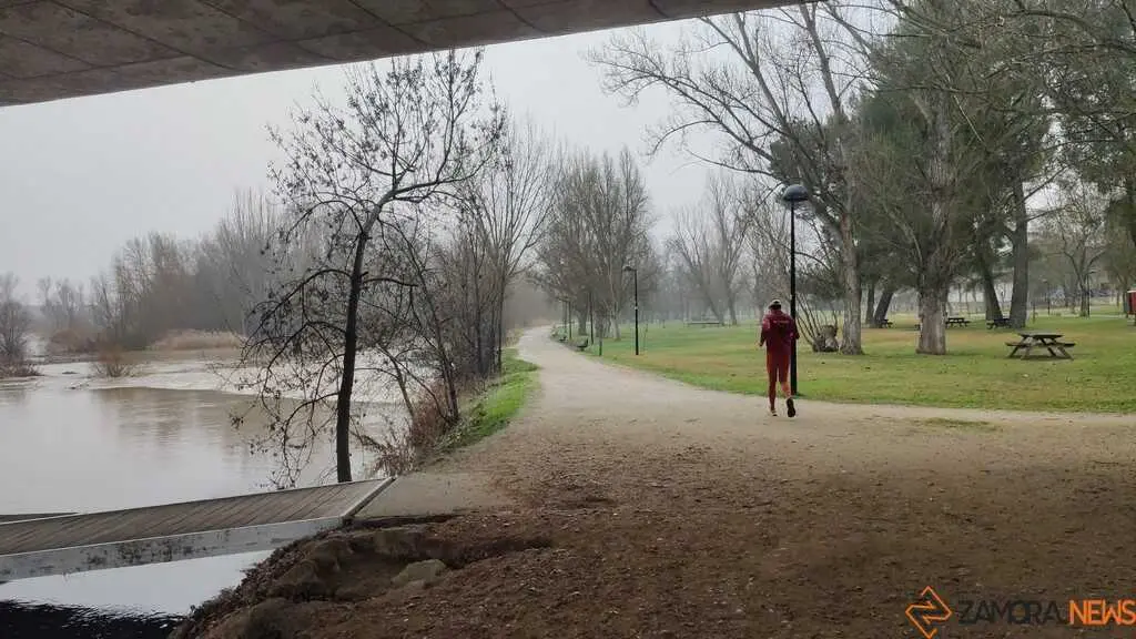  El Duero inunda ace&ntilde;as y paseos a su paso por Zamora_4