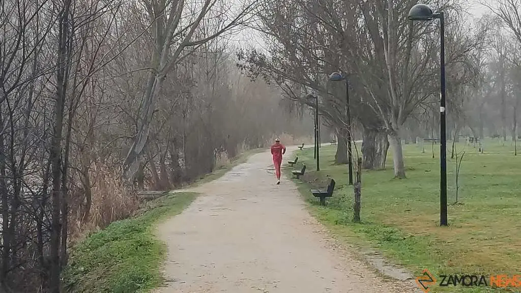  El Duero inunda ace&ntilde;as y paseos a su paso por Zamora_5