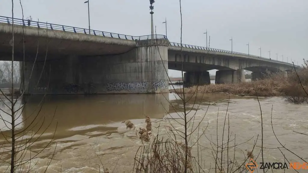  El Duero inunda ace&ntilde;as y paseos a su paso por Zamora_7