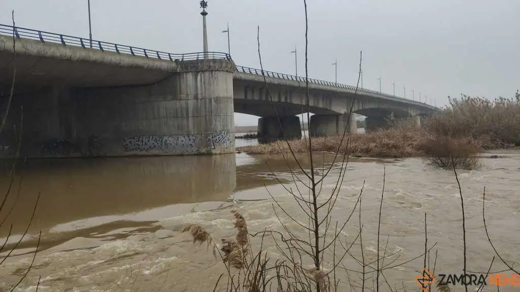  El Duero inunda ace&ntilde;as y paseos a su paso por Zamora_8