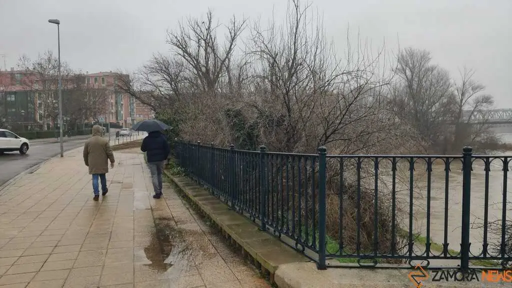  El Duero inunda ace&ntilde;as y paseos a su paso por Zamora_11