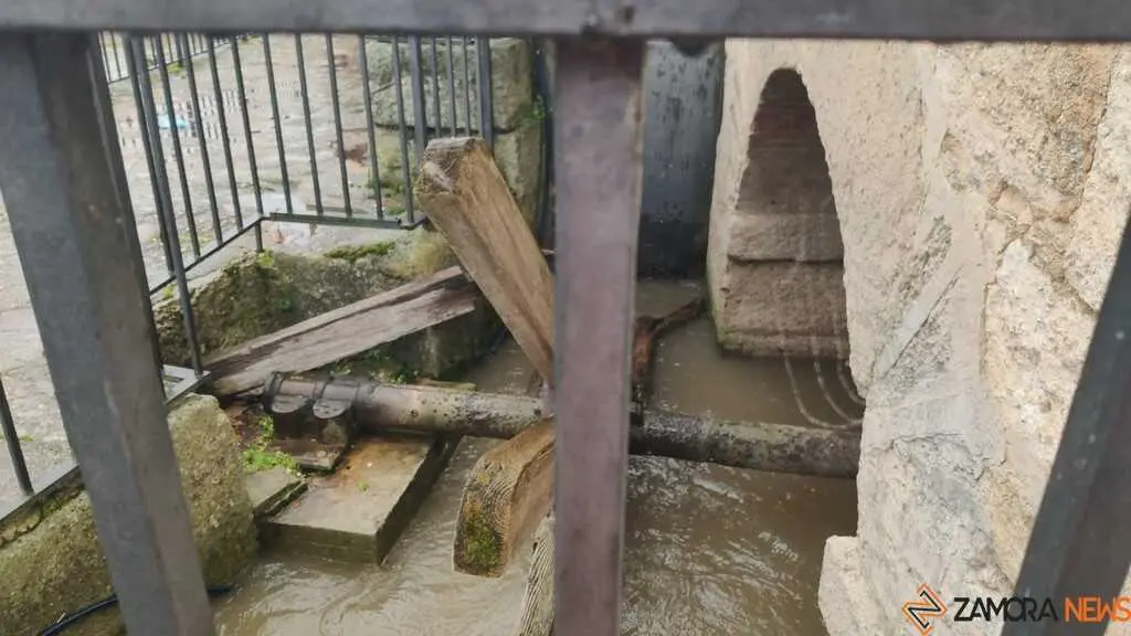  El Duero inunda ace&ntilde;as y paseos a su paso por Zamora_14