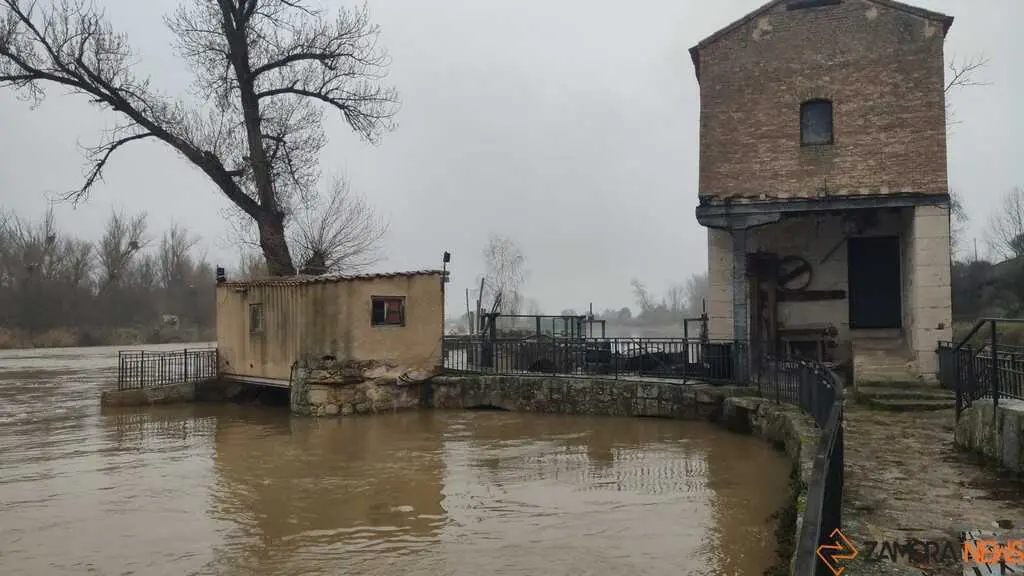  El Duero inunda ace&ntilde;as y paseos a su paso por Zamora_15