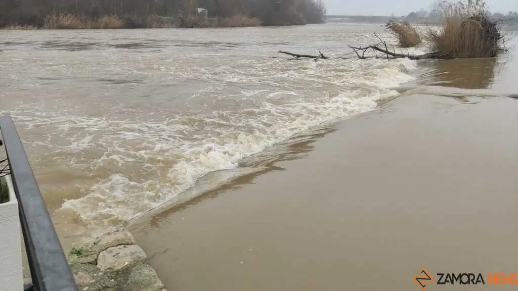  El Duero inunda ace&ntilde;as y paseos a su paso por Zamora_17