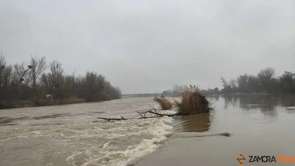  El Duero inunda ace&ntilde;as y paseos a su paso por Zamora_18
