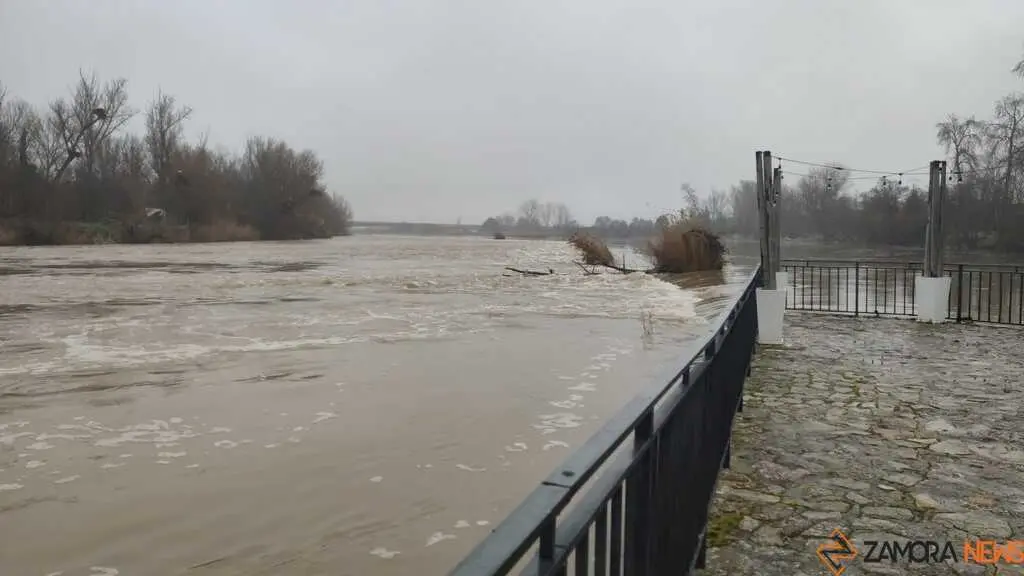  El Duero inunda ace&ntilde;as y paseos a su paso por Zamora_19