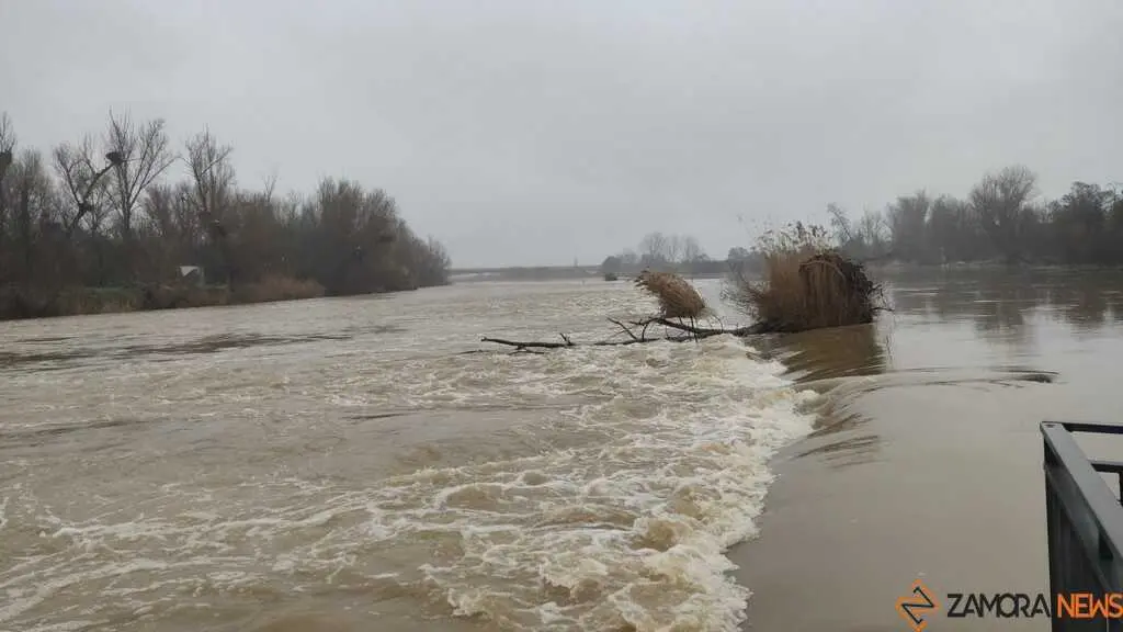  El Duero inunda ace&ntilde;as y paseos a su paso por Zamora_20