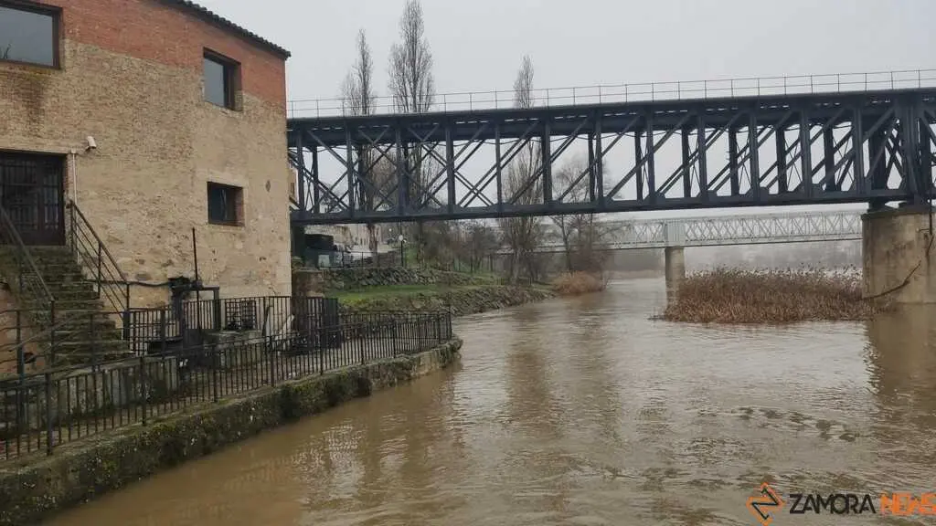  El Duero inunda ace&ntilde;as y paseos a su paso por Zamora_21