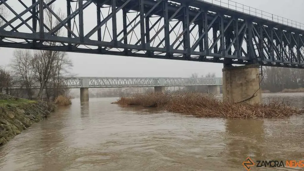  El Duero inunda ace&ntilde;as y paseos a su paso por Zamora_23