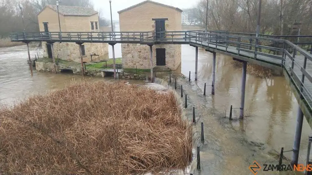  El Duero inunda ace&ntilde;as y paseos a su paso por Zamora_25