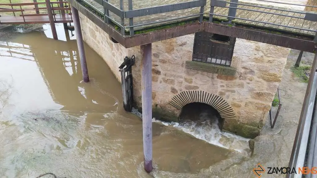  El Duero inunda ace&ntilde;as y paseos a su paso por Zamora_27