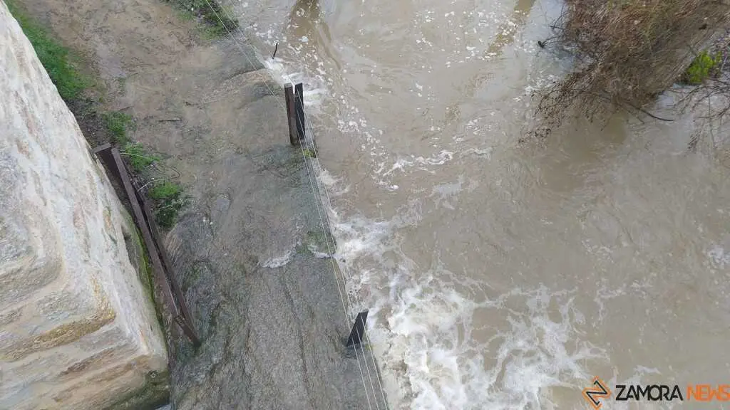  El Duero inunda ace&ntilde;as y paseos a su paso por Zamora_28