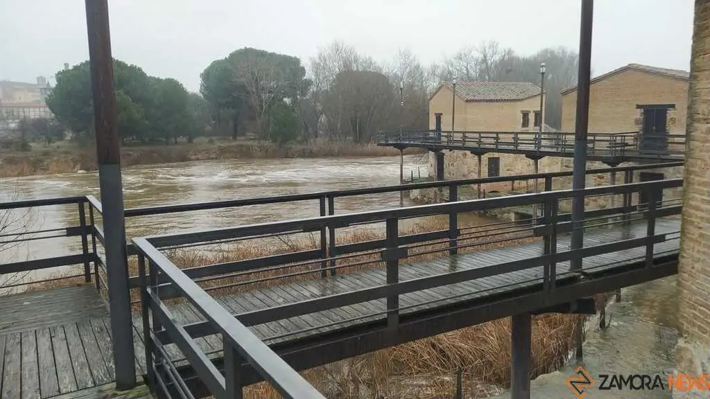  El Duero inunda ace&ntilde;as y paseos a su paso por Zamora_30