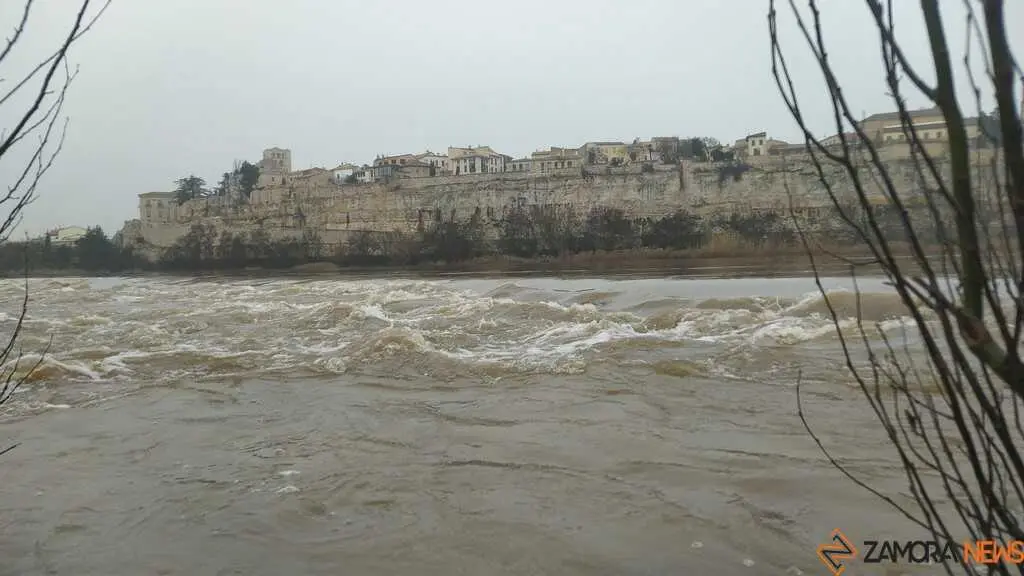  El Duero inunda ace&ntilde;as y paseos a su paso por Zamora_35