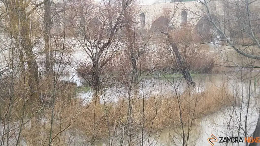 El Duero inunda ace&ntilde;as y paseos a su paso por Zamora_36