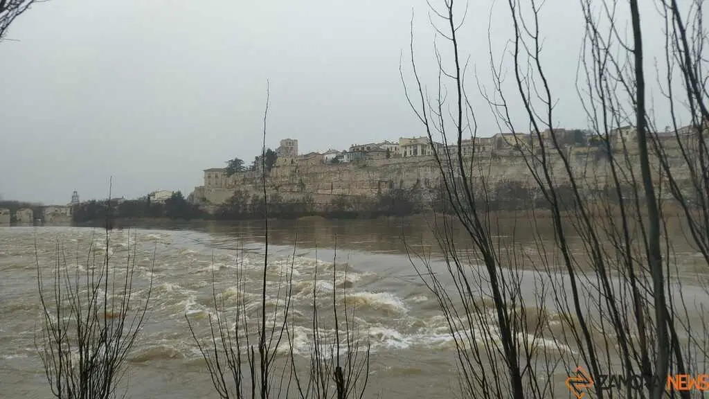  El Duero inunda ace&ntilde;as y paseos a su paso por Zamora_37
