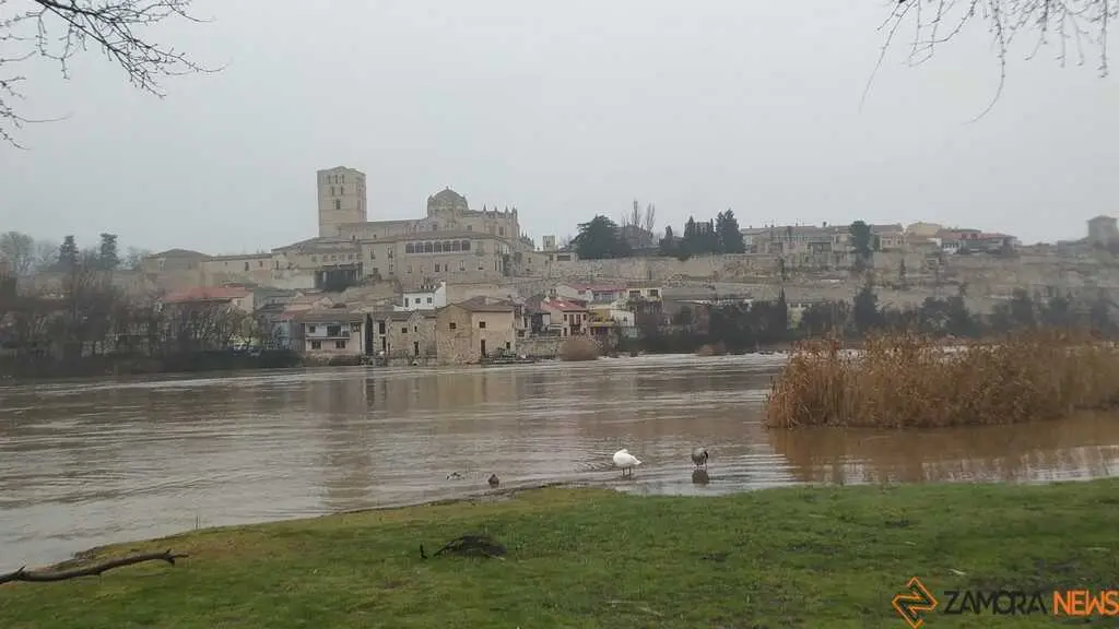  El Duero inunda ace&ntilde;as y paseos a su paso por Zamora_40