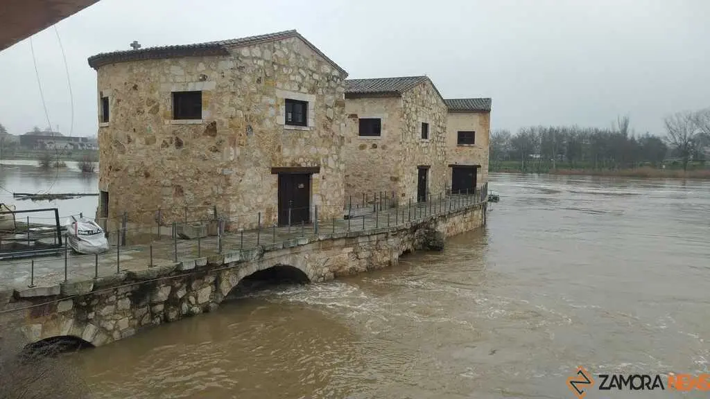  El Duero inunda ace&ntilde;as y paseos a su paso por Zamora_43
