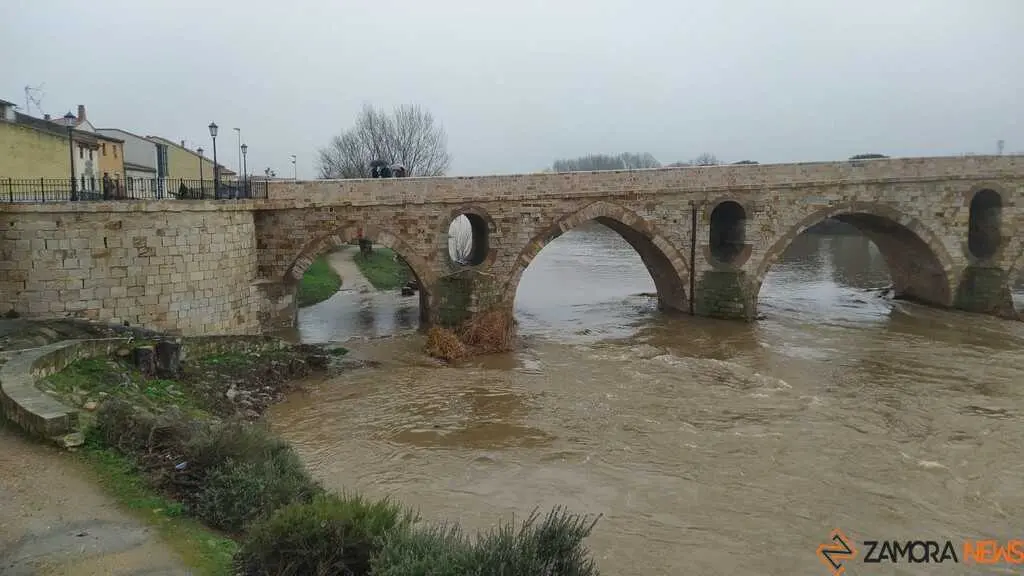 El Duero inunda ace&ntilde;as y paseos a su paso por Zamora_47