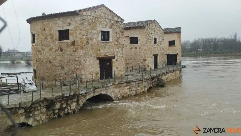  El Duero inunda ace&ntilde;as y paseos a su paso por Zamora_46