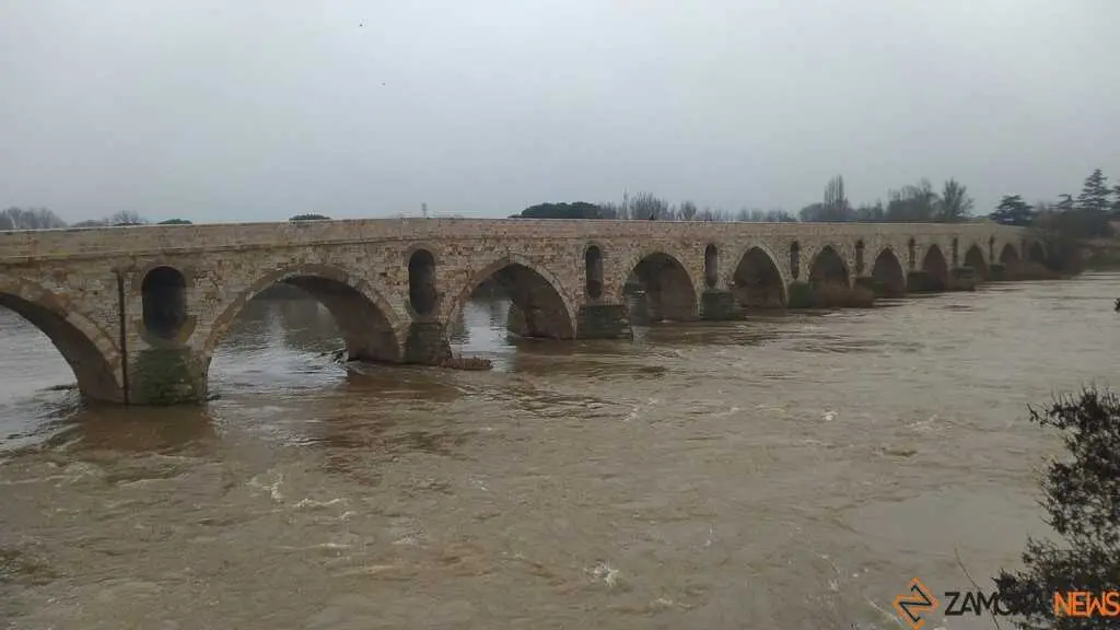  El Duero inunda ace&ntilde;as y paseos a su paso por Zamora_48