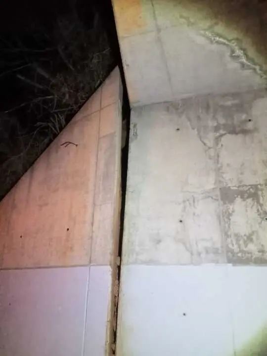 Puente entre Quiruelas de Vidriales y Quintanilla de Urz