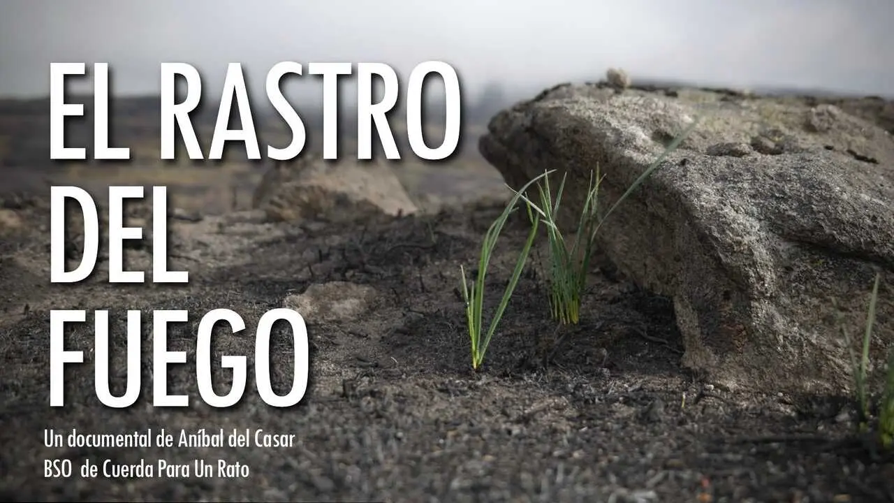 Imagen de uno de los documentales