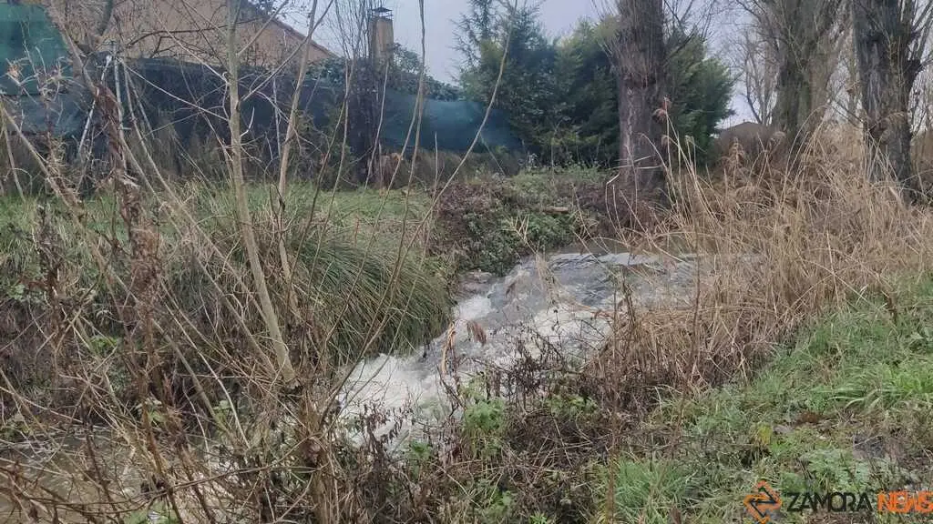 crece el r&iacute;o Duero Zamora _8